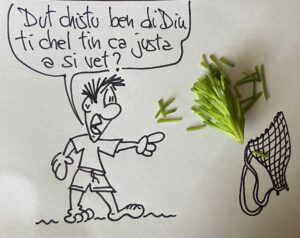 aghi di pino