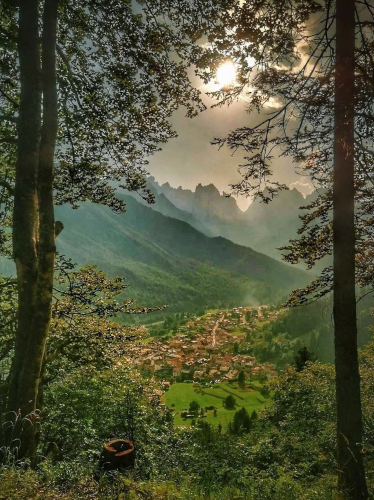foto elena