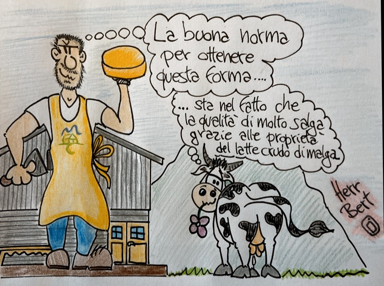 malga alta carnia