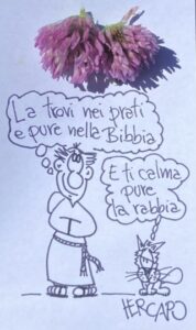 panificio bellina biscotto