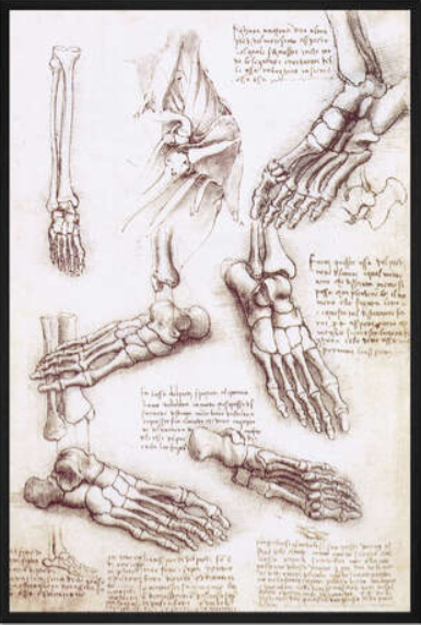 progetto piede leonardo