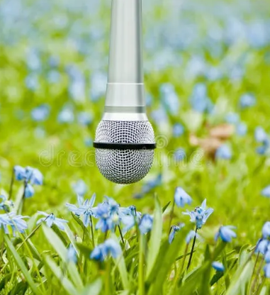 sounds of nature