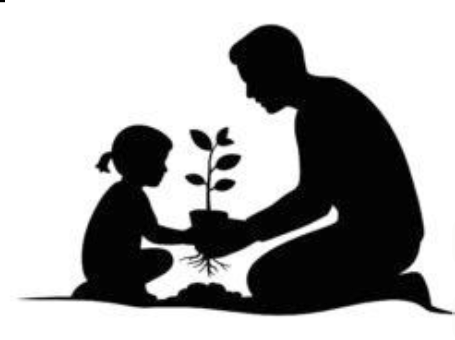 educazione piantina