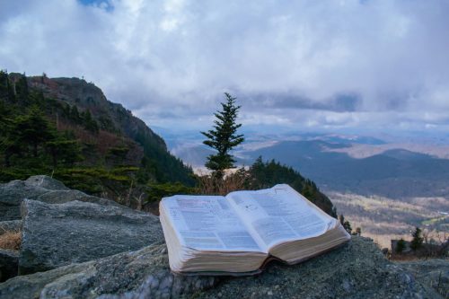 simon ray book in hte forest